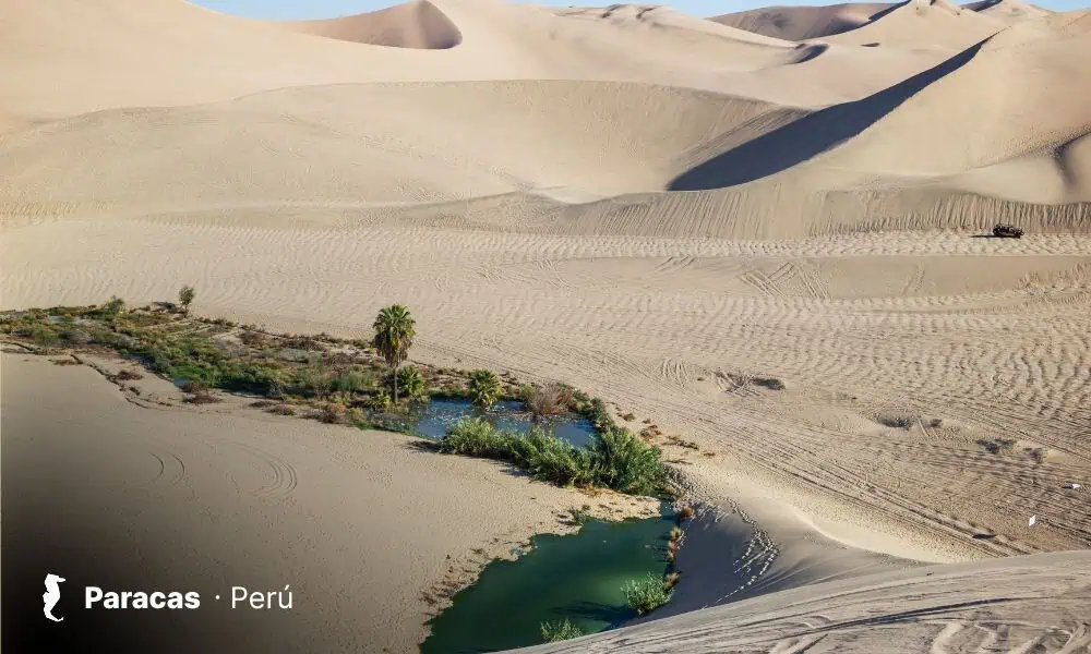 Paisaje representativo de Paracas, Perú